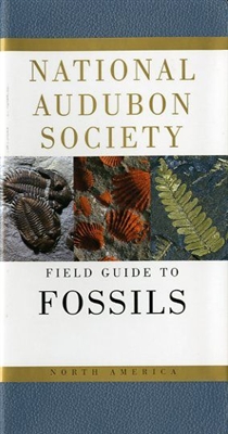 national audubon society field guide to north american fossils national audubon society field guide to north american fossils